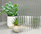VION Reeded Glass