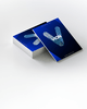 VION Window Films Guide