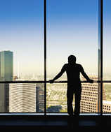 Window Films