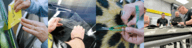 Vehicle wrap image banner