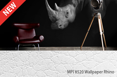 Web Rhino.jpg